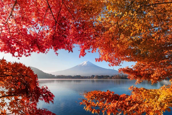Folhagem Queda Temporada Outono Mountain Fuji Perto Fujikawaguchiko Yamanashi Árvores — Fotografia de Stock
