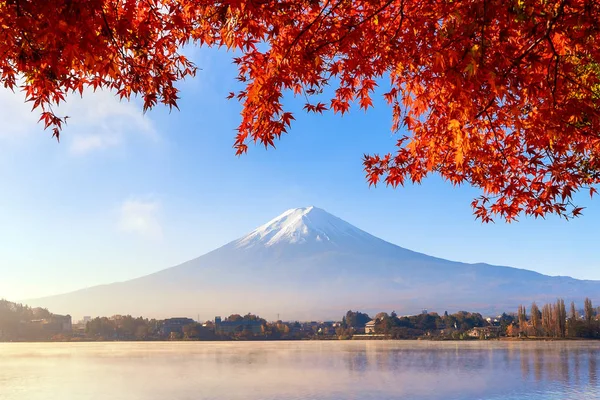 Spadek Liści Sezonie Jesiennym Góry Fuji Pobliżu Fujikawaguchiko Yamanashi Fuji — Zdjęcie stockowe