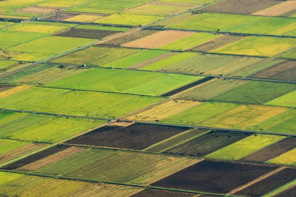 Vue Aérienne Des Champs Agricoles Dans Campagne Japon Printemps Zone — Photo