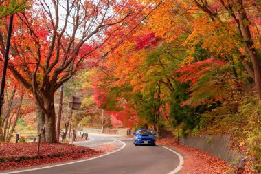 Kırmızı yol yolda bir araba sonbahar Fujikawaguchiko, Yamanashi yakınındaki yeşillik geçin. Mavi gökyüzü arka plan Japonya'da bir ağaç.