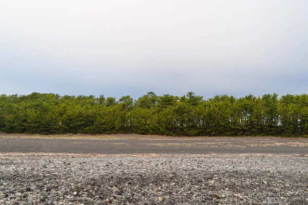 木や石に近い静岡県内のテキストを白い空と海岸 — ストック写真