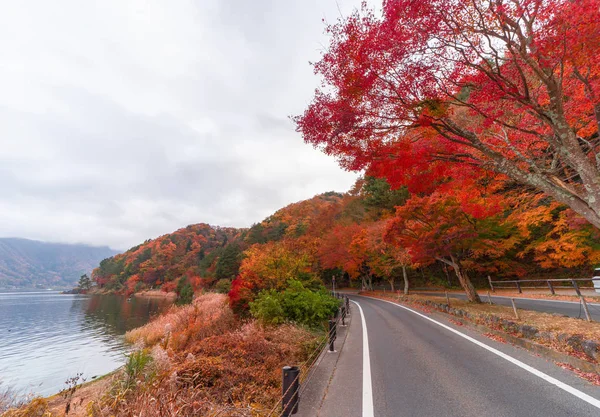 山梨富士河口湖近く秋の赤い紅葉と道路のパス 青い空を背景に日本の木 — ストック写真