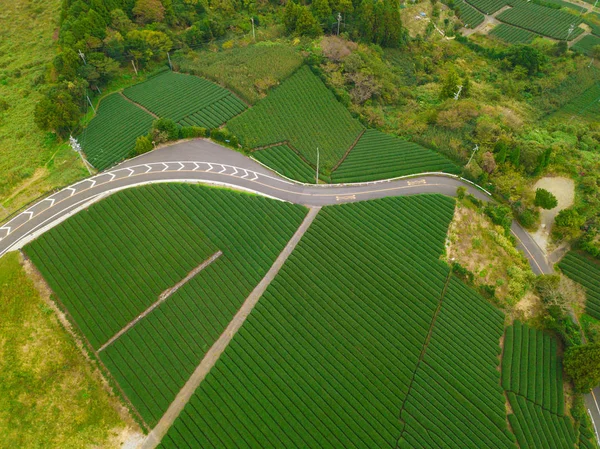 Légifelvételek Rizs Mező Shizuoka Őszi Szezonban Vidéki Terület Vagy Vidék — Stock Fotó