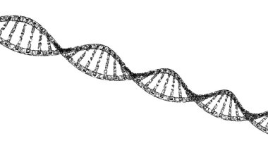DNA, sarmal model beyaz arka plan üzerinde izole tıp ve ağ bağlantı çizgileri. Bilim, tıp ve kimya kavramı, 3d illüstrasyon soyut fütüristik teknoloji yapısında.