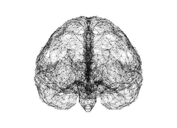 Données Numériques Connexion Réseau Cerveau Humain Isolé Sur Fond Blanc — Photo