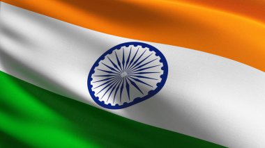 Hindistan Ulusal bayrak izole rüzgarda. Resmi patri