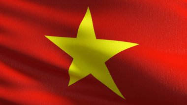 Vietnam ulusal bayrak izole rüzgarda. Resmi pat