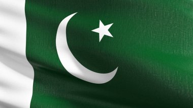Pakistan ulusal bayrak izole rüzgarda. Resmi pa