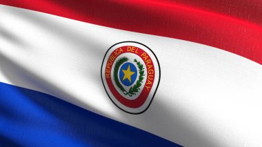Paraguay national flag blowing in the wind isolated. Official pa clipart