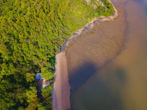 Luchtfoto van natuurlijke bosbomen met zand, tropisch strand an — Stockfoto