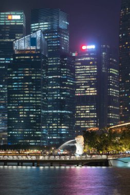 Geceleri Singapur City gökdelen binaları ile Merlion. ﬁ