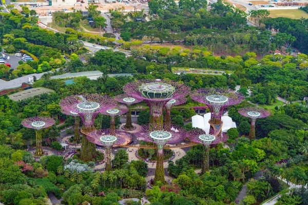 Aerial view of Supertree Grove. Garden by the bay in Marina Bay — Stock Photo, Image