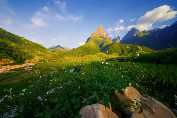 Fansipan montagne collines vallée en été avec des fleurs et bleu s — Photo