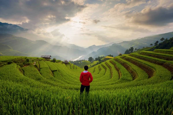 En asiatisk man tittar på Paddy Rice terrasser, jordbruksmark — Stockfoto