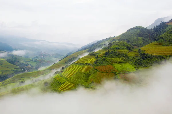 Terrasses de riz paddy, champs agricoles en campagne ou en milieu rural — Photo