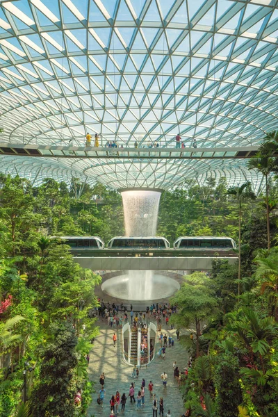 Singapur City Jewel Changi Havaalanı. İç tasarım dekori