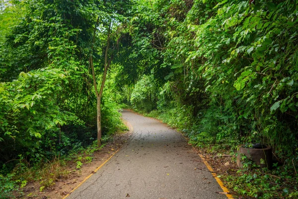 Caminho com corredor de túnel de árvores verdes, Kanchanaburi, Tailândia — Fotografia de Stock