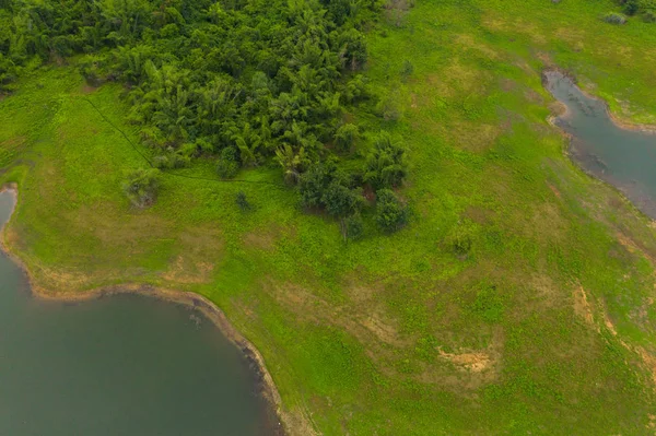 Вид зверху повітря на дерева, річку або озеро в тропічному лісі в На — стокове фото