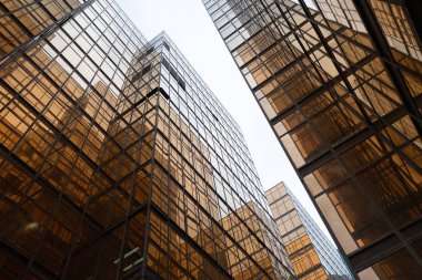 Altın bina. T modern ofis gökdelenler Windows cam