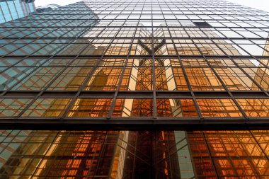 Altın bina. T modern ofis gökdelenler Windows cam