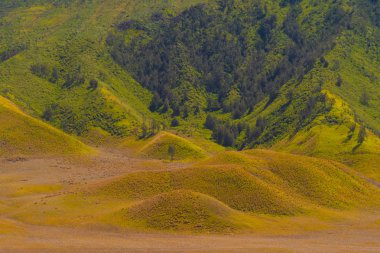 Dağlarla sarı alan. Bromo Savanna Yeşil Tepe nat içinde