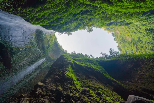 Madakaripura Wasserfall im Nationalpark. der höchste Wasserfall i — Stockfoto