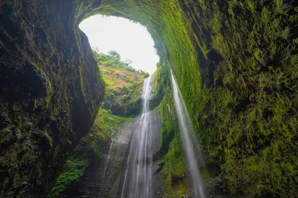 Madakaripura Waterfall in national park. The tallest waterfall i — Stock Photo, Image