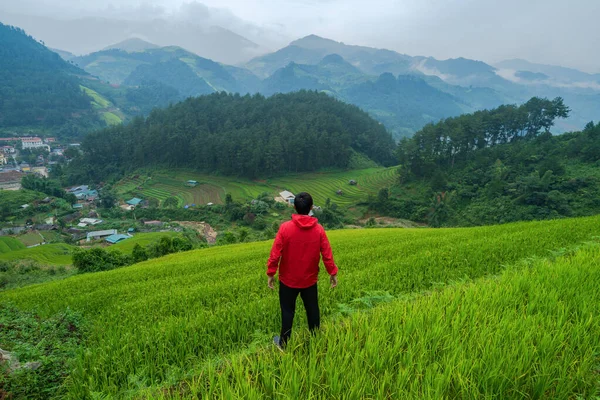 En asiatisk turist tittar på paddyris terrasser, agricultur — Stockfoto