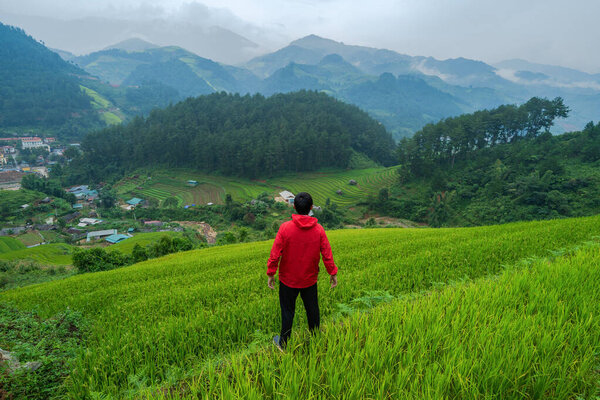 An Asian tourist man watching at paddy rice terraces, agricultur