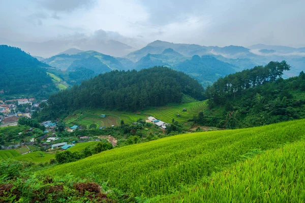 Vista aérea superior de terraços de arroz paddy, campo agrícola verde — Fotografia de Stock