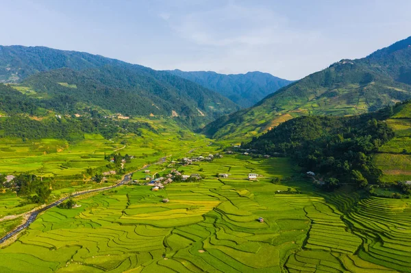 Вид сверху с воздуха на рисовые террасы, зеленое сельскохозяйственное поле — стоковое фото