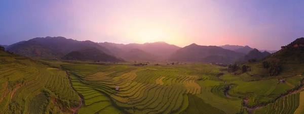 Aerial top view of paddy rice terraces, green agricultural field