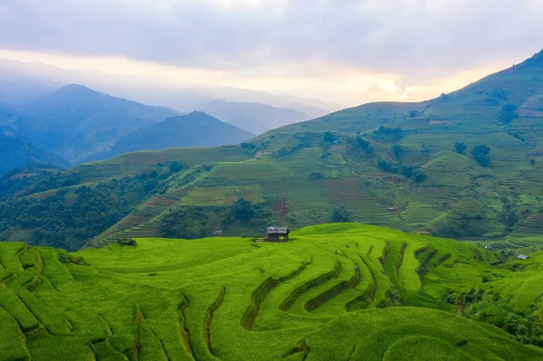 Vista aérea superior de terraços de arroz paddy, campo agrícola verde — Fotografia de Stock