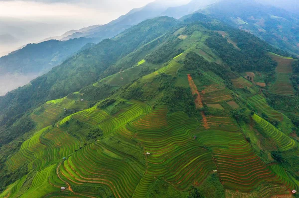 Letecký pohled shora na rýžové terasy, zelené zemědělské pole — Stock fotografie