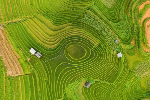 Luftaufnahme von Reisterrassen, grünen landwirtschaftlichen Feld — Stockfoto