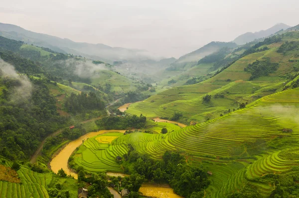 Vue aérienne du dessus des terrasses de riz paddy, champ agricole vert — Photo