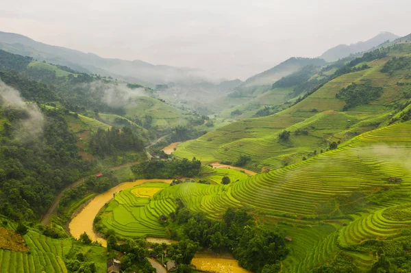 Vista aérea superior de terraços de arroz paddy, campo agrícola verde — Fotografia de Stock