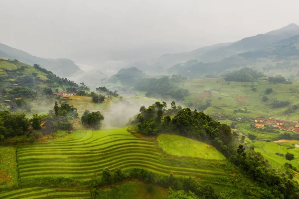 Aerial top view of paddy rice terraces, green agricultural field — Stock Photo, Image