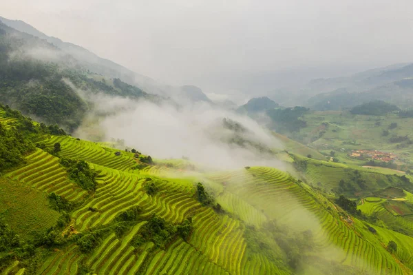 Vista aerea dall'alto di terrazze risaie, campo agricolo verde — Foto Stock