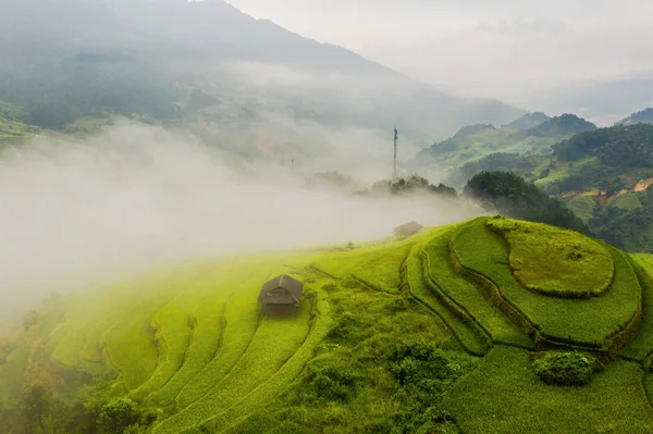 Vue aérienne du dessus des terrasses de riz paddy, champ agricole vert — Photo