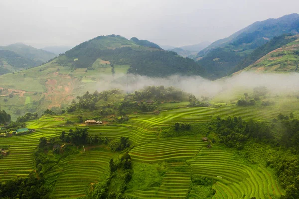 Vista aérea superior de terraços de arroz paddy, campo agrícola verde — Fotografia de Stock