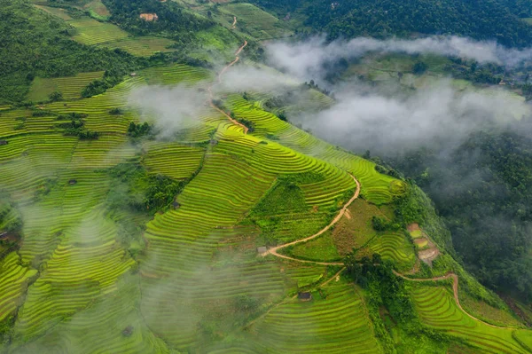 Vista aérea superior de terraços de arroz paddy, campo agrícola verde — Fotografia de Stock