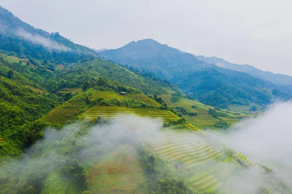 Vista aérea superior de terraços de arroz paddy, campo agrícola verde — Fotografia de Stock