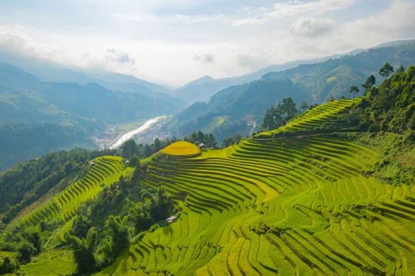 Vista aérea superior de terraços de arroz paddy, campo agrícola verde — Fotografia de Stock