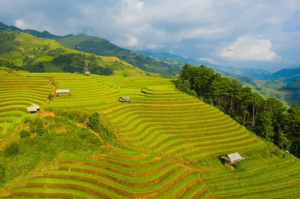 Vista aérea superior de terraços de arroz paddy, campo agrícola verde — Fotografia de Stock