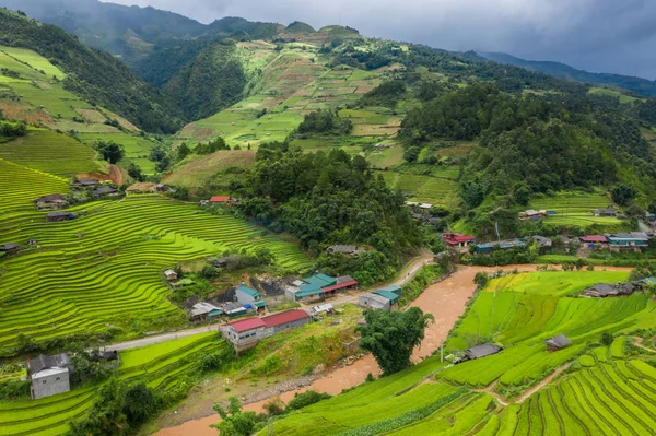 Vista aérea superior de terraços de arroz paddy, campo agrícola verde — Fotografia de Stock