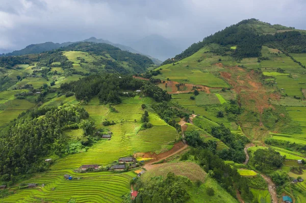 Vue aérienne du dessus des terrasses de riz paddy, champ agricole vert — Photo