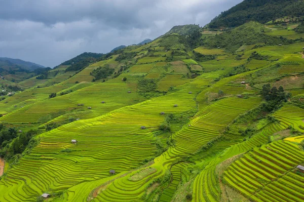 Vista aerea dall'alto di terrazze risaie, campo agricolo verde — Foto Stock