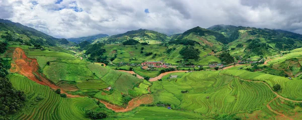 Légi felvétel friss hántolatlan rizs teraszok, zöld mezőgazdasági — Stock Fotó