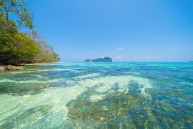 Phi Phi, Maya sahilinde mavi turkuaz deniz suyu, Phuket adası 